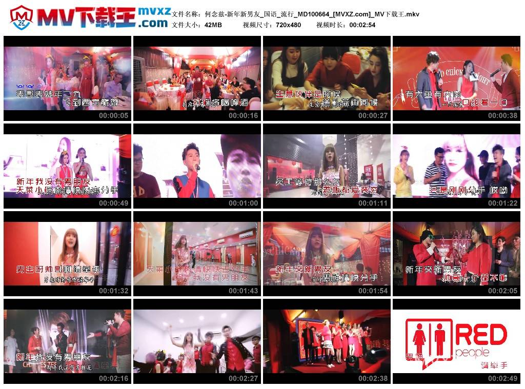 何念兹-新年新男友_国语_流行_MD100664
